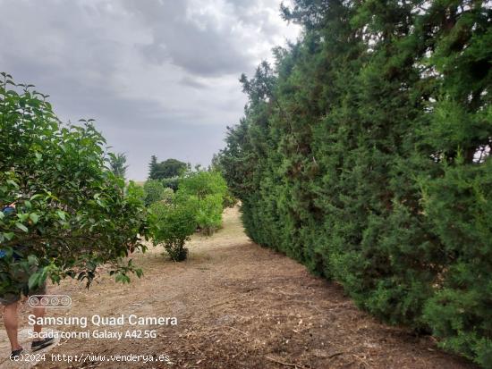 Se Vende en Casarrubios del Monte - TOLEDO