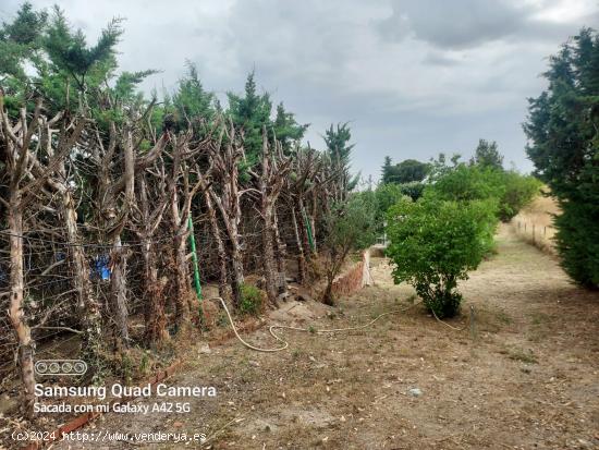 Se Vende en Casarrubios del Monte - TOLEDO