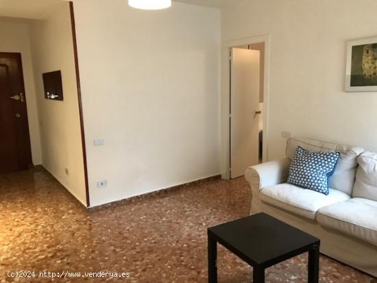  ALQUILER DE APARTAMENTO EN EL CENTRO, ZONA PLAZA SANTA ISABEL - MURCIA 