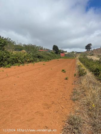 TERRENO RÚSTICO EN LA ESPERANZA, EL ROSARIO - TENERIFE NORTE - SANTA CRUZ DE TENERIFE