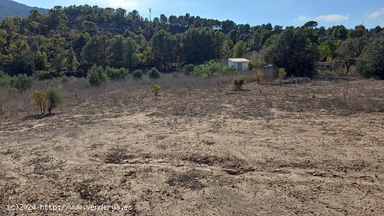  TERRENO AGRICOLA EN FINESTRAT CON BALSA , POZO Y POSTE DE LUZ JUSTO AL LADO - ALICANTE 