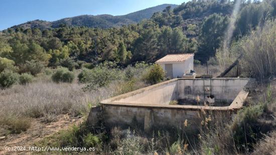 TERRENO AGRICOLA EN FINESTRAT CON BALSA , POZO Y POSTE DE LUZ JUSTO AL LADO - ALICANTE