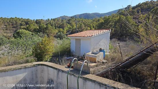 TERRENO AGRICOLA EN FINESTRAT CON BALSA , POZO Y POSTE DE LUZ JUSTO AL LADO - ALICANTE