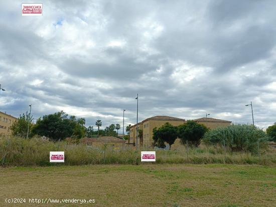 VENTA DE PARCELA EN ZONA RESIDENCIAL  EL TULELL   ALZIRA  (VALENCIA) - VALENCIA