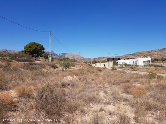 ¡Construye Tu Hogar en el Campo a Solo 7 km de San Vicente, Alicante! - ALICANTE