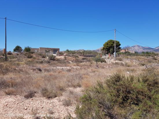 ¡Construye Tu Hogar en el Campo a Solo 7 km de San Vicente, Alicante! - ALICANTE