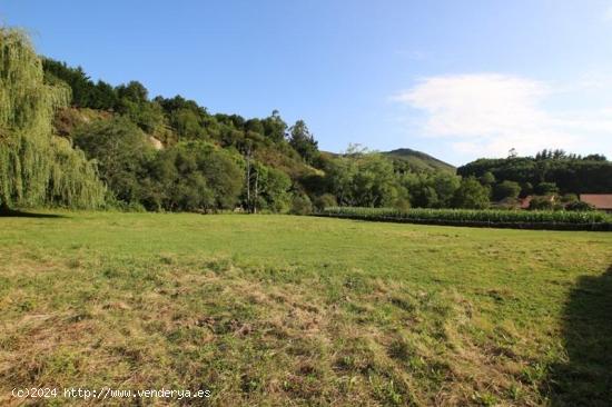 UNA FINCA PARA REALIZAR TU SUEÑO - CANTABRIA