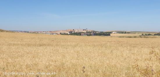  Urbis te ofrece un Terreno Agrario No Urbano en Salamanca, Zona PEÑISCAS, Salamanca - SALAMANCA 