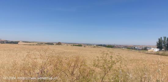 Urbis te ofrece un Terreno Agrario No Urbano en Salamanca, Zona PEÑISCAS, Salamanca - SALAMANCA