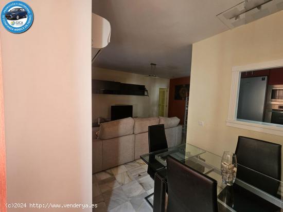 PISO ZONA SAN FRANCISCO-AYUNTAMIENTO ¡¡LICENCIA VACACIONAL!! - CADIZ