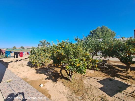 CASA DE CAMPO EN TORREPACHECO - MURCIA