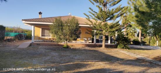 chalet en La Matanza- Fortuna - MURCIA