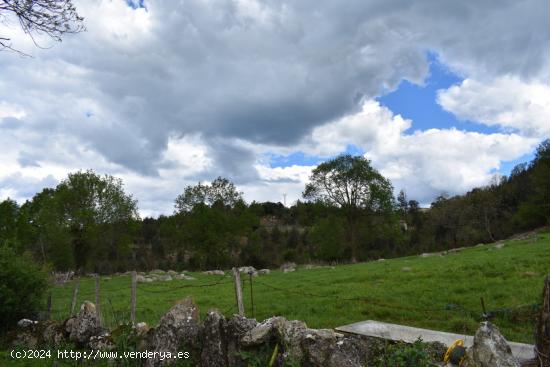 Casa de piedra en Hazas de Cesto - CANTABRIA