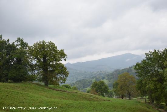  Venta de cabaña en Villacarriedo - CANTABRIA 