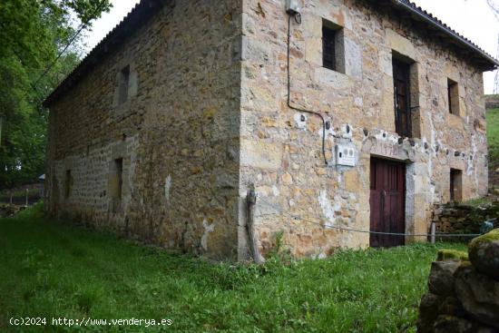 Venta de cabaña en Villacarriedo - CANTABRIA