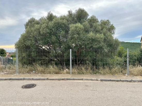  GRAN TERRENO CON VISTAS!!! - TARRAGONA 