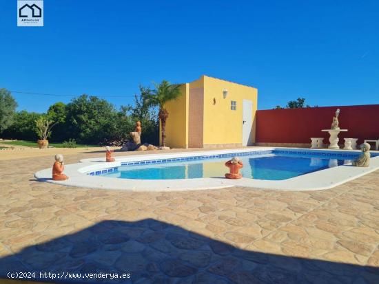 APIHOUSE VENDE ACOGEDOR CHALET INDIVIDUAL EN FORTUNA. PRECIO 249.000€ - MURCIA