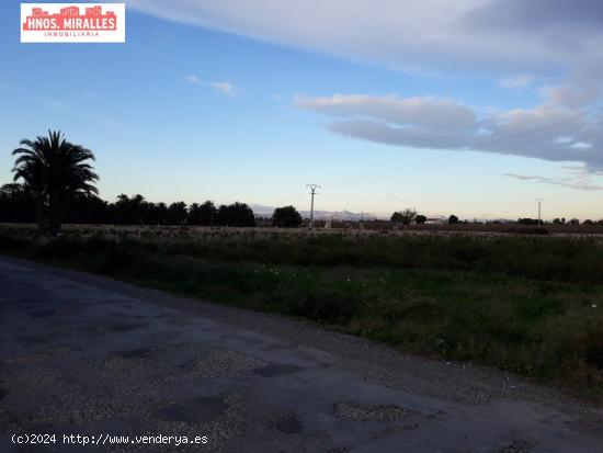  Se vende finca rustica de 80.000 mtros. en Poligono Daimes  (Elche) - ALICANTE 