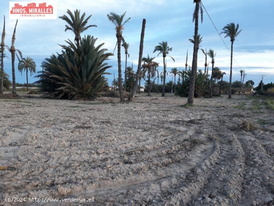 Se vende finca rustica de 80.000 mtros. en Poligono Daimes  (Elche) - ALICANTE