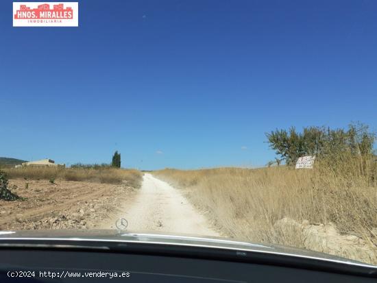 SE VENDE PARCELA PARA PLANTA FOTOVOLTANICA O PARA EDIFICAR EN ABANILLA - MURCIA