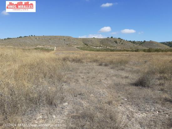 SE VENDE PARCELA PARA PLANTA FOTOVOLTANICA O PARA EDIFICAR EN ABANILLA - MURCIA