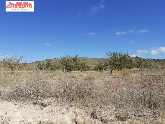 SE VENDE PARCELA PARA PLANTA FOTOVOLTANICA O PARA EDIFICAR EN ABANILLA - MURCIA