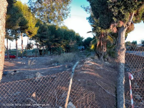 Se alquila finca para parking con nave en Benijofar - ALICANTE