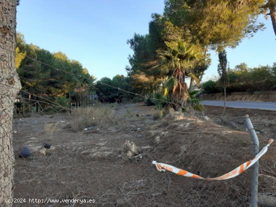 Se alquila finca para parking con nave en Benijofar - ALICANTE