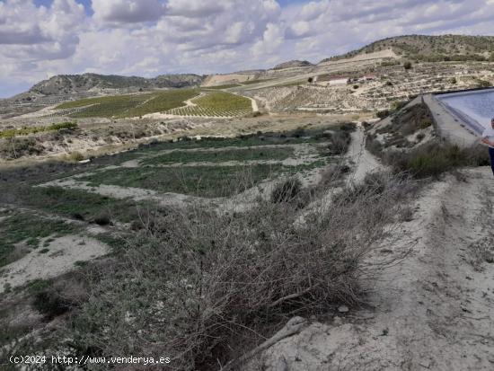 FINCA RUSTICA EN TORREMENDO - ALICANTE