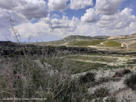 FINCA RUSTICA EN TORREMENDO - ALICANTE