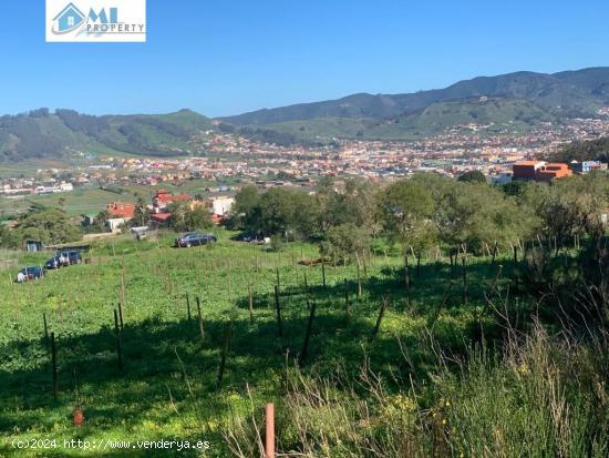 OPORTUNIDAD TERRENO RURAL CON CULTIVO DE VIÑA 14.000m² - SANTA CRUZ DE TENERIFE