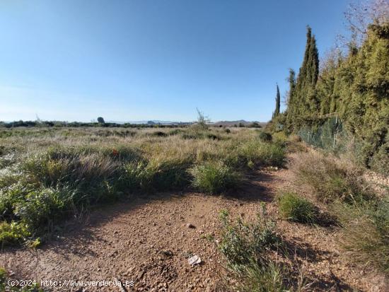 Terreno de dos hectáreas en Alhama de Murcia - MURCIA