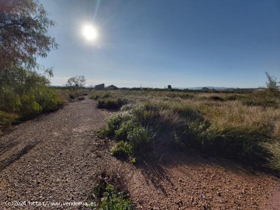 Terreno de dos hectáreas en Alhama de Murcia - MURCIA