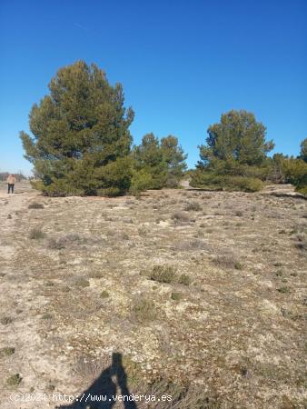 CARIHUELA SOL ALQUILA TERRENO RUSTICO EN OCAÑA - TOLEDO