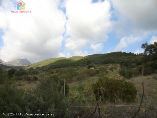 Se Vende Finca Rústica en Gaucín - MALAGA