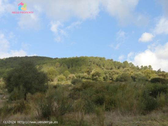 Se Vende Finca Rústica en Gaucín - MALAGA