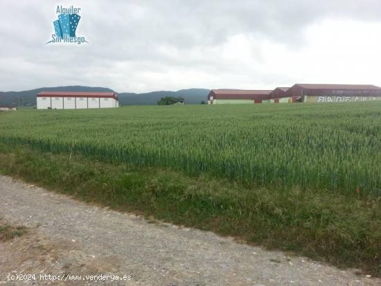  Se vende Fincas de Cereal en LA PUEBLA DE ARGANZÓN. - BURGOS 