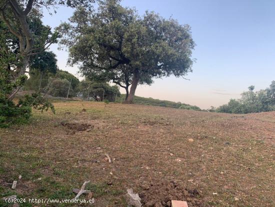 TERRENO EN ZONA CALASANCIO - CORDOBA