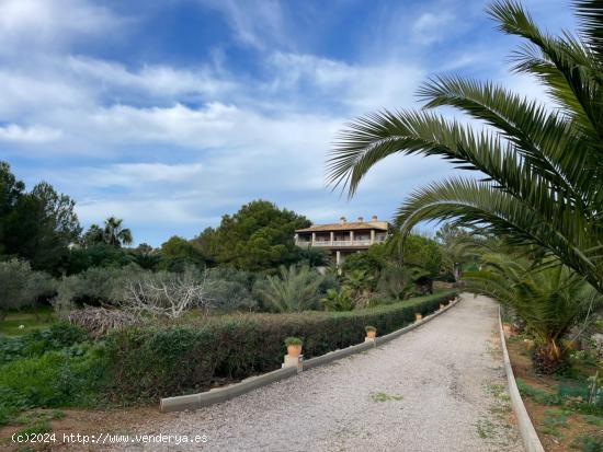 Maravillosa finca rústica en la COLONIA DE SANT JORDI - BALEARES