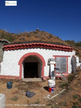  BODEGA EN GRULLEROS - LEON 