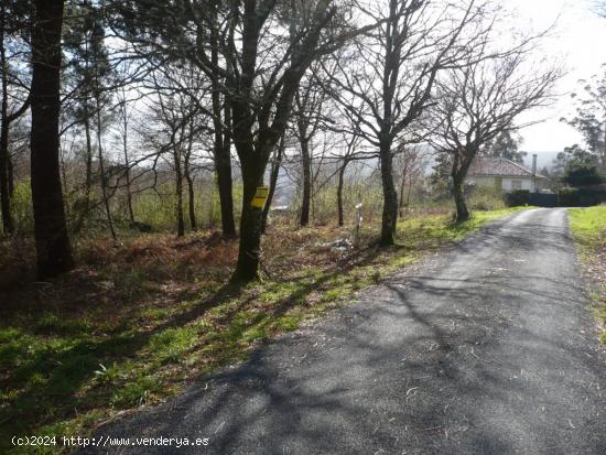 SE VENDEN VARIAS PARCELAS EN BRANS DE ABAIXO (BRIÓN) - A CORUÑA