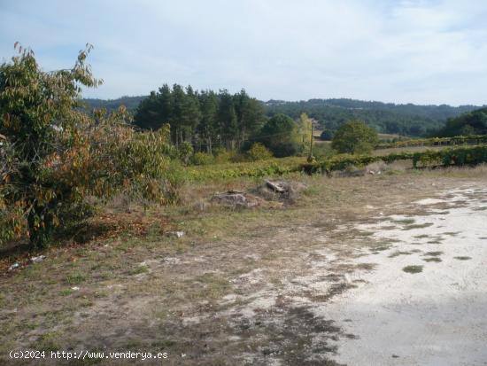 VENTA DE TERRENO CON 2 CASAS EN SOUTO DE VEA, A ESTRADA - PONTEVEDRA