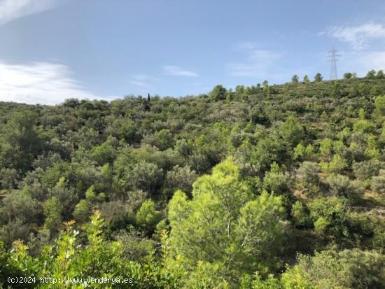 Finca Rustica Ideal para cazadores - TARRAGONA