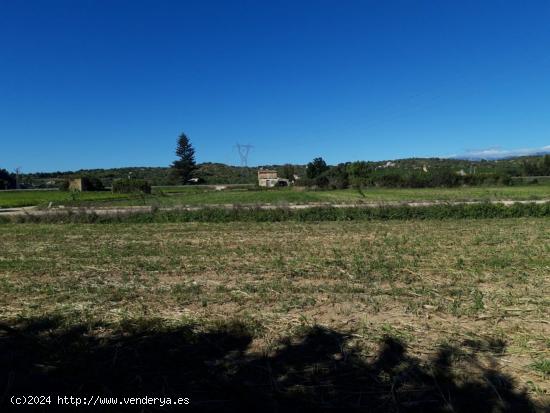 FINCA RUSTICA AL LADO DEL RIO EBRO CON CASA DE 28m2 Y CERCA DE AMOPSTA - TARRAGONA