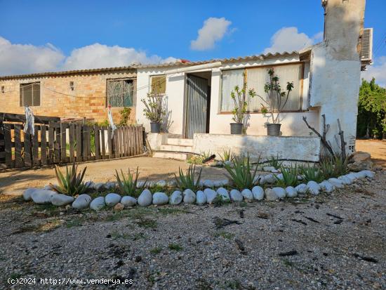 FINCA URBANIZABLE A 2 KM DE LA RAPITA - TARRAGONA