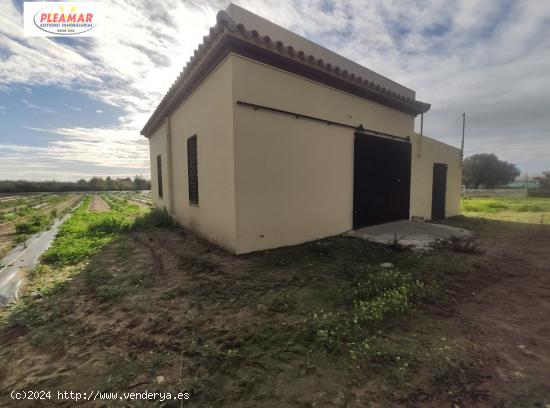 CAMPO CON NAVE DE 50 M2      ZONA LOMA BAJA - CADIZ