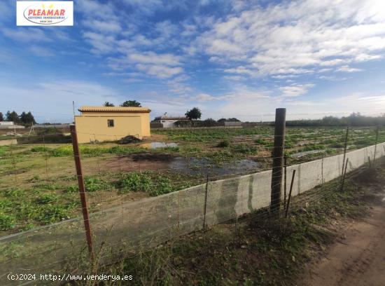 CAMPO CON NAVE DE 50 M2      ZONA LOMA BAJA - CADIZ