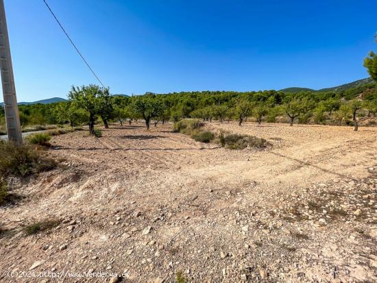 FINCA RUSTICA EN EL CORAZON DE LA MONTAÑA  DE CASTALLA - ALICANTE