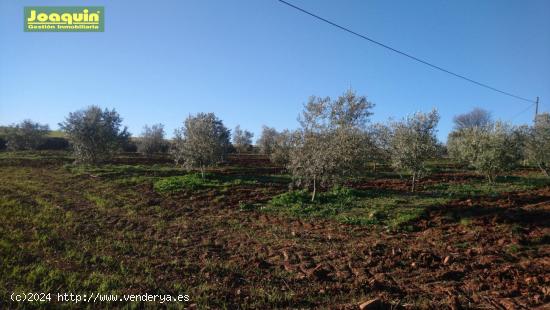 TERRENOS RUSTICOS EN BARRIADA DEL ÁNGEL - CORDOBA