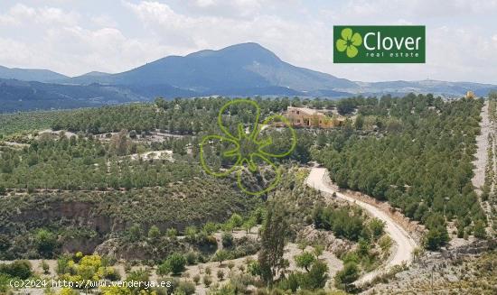 En venta una finca y vivienda en la diputación de Bejar. - MURCIA